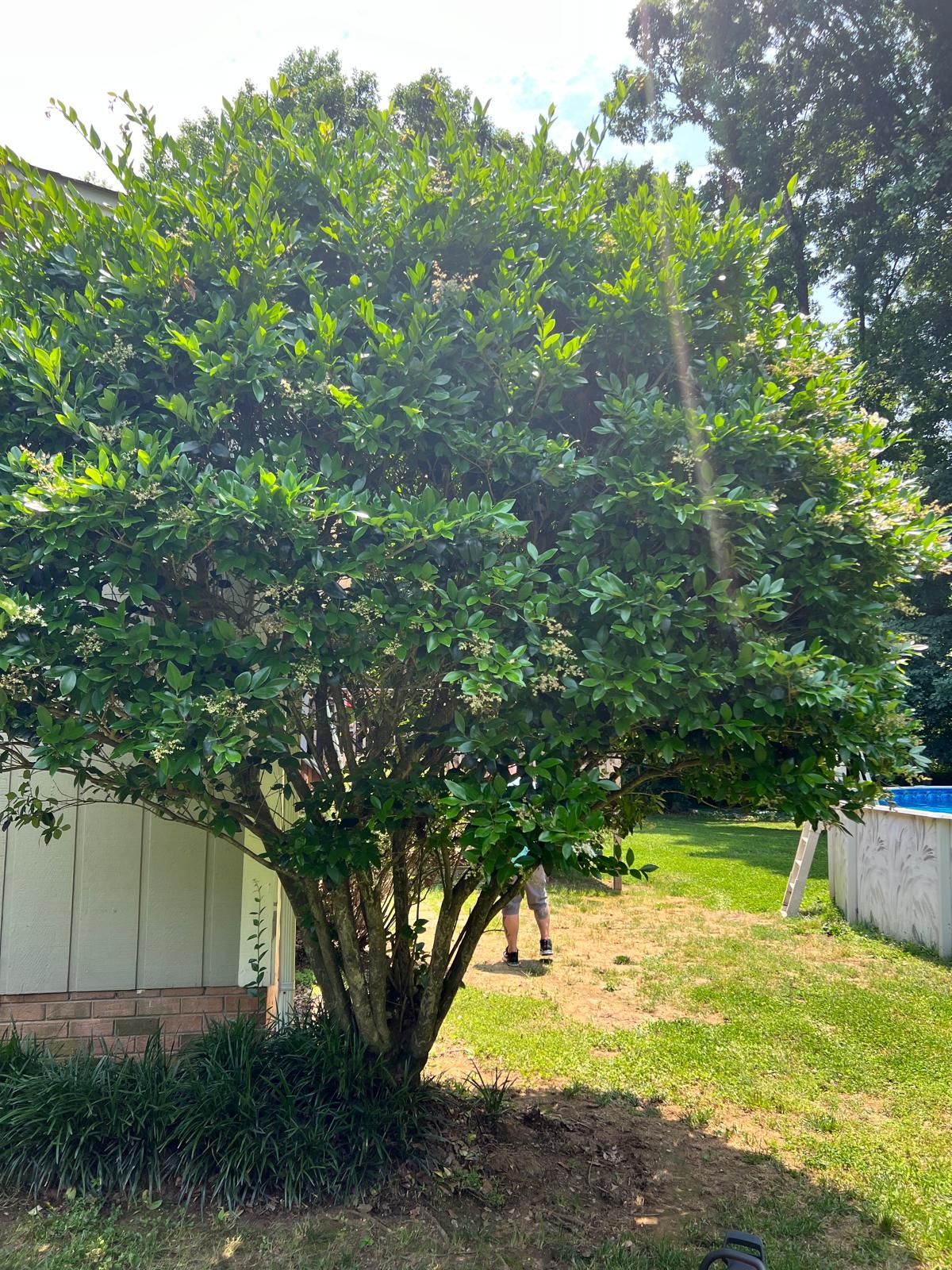 0thj2ildvipl30zt8w89g541guqqyt