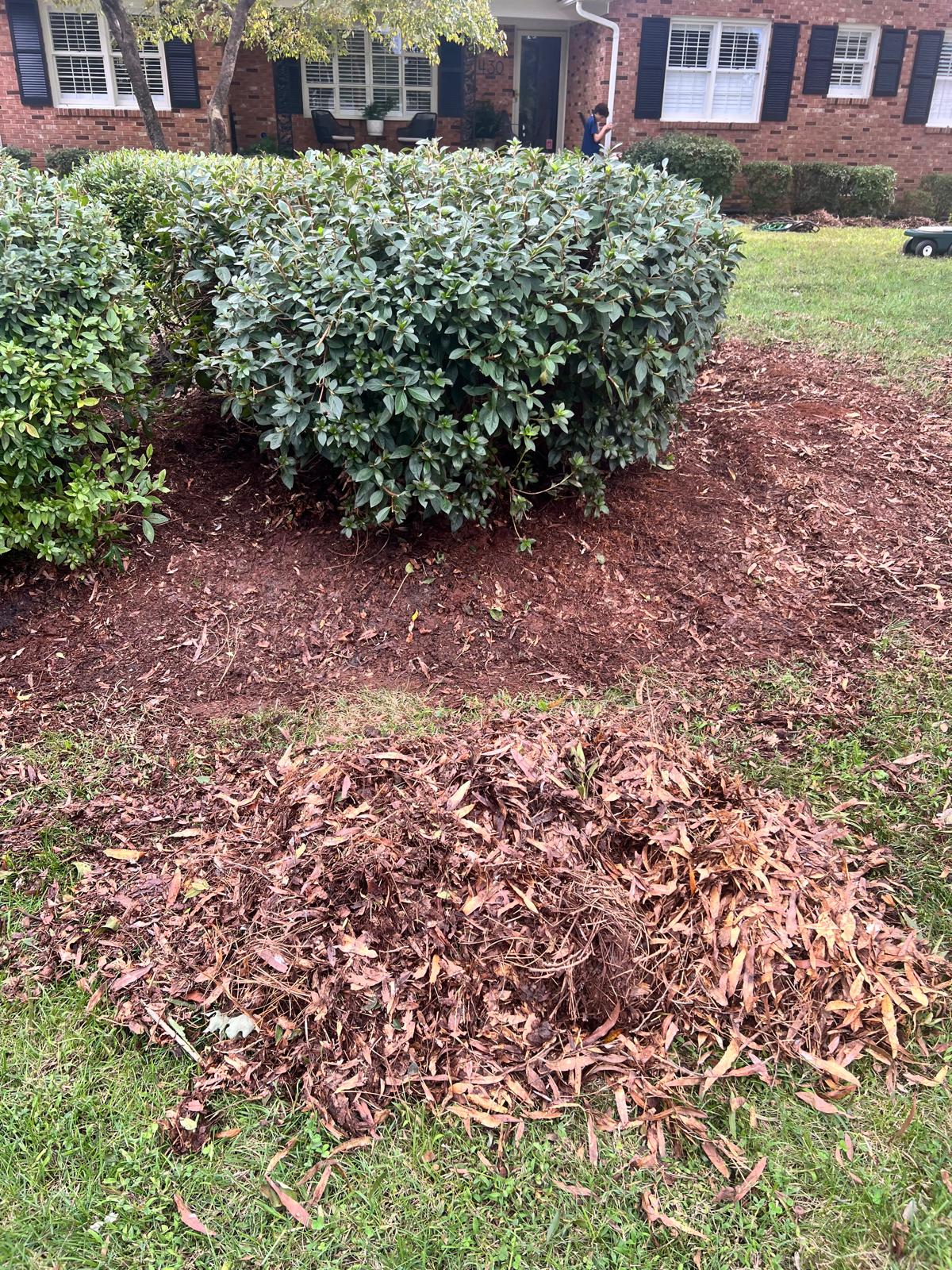 1afzdmmpzzovddktgny5vvauv4ior5