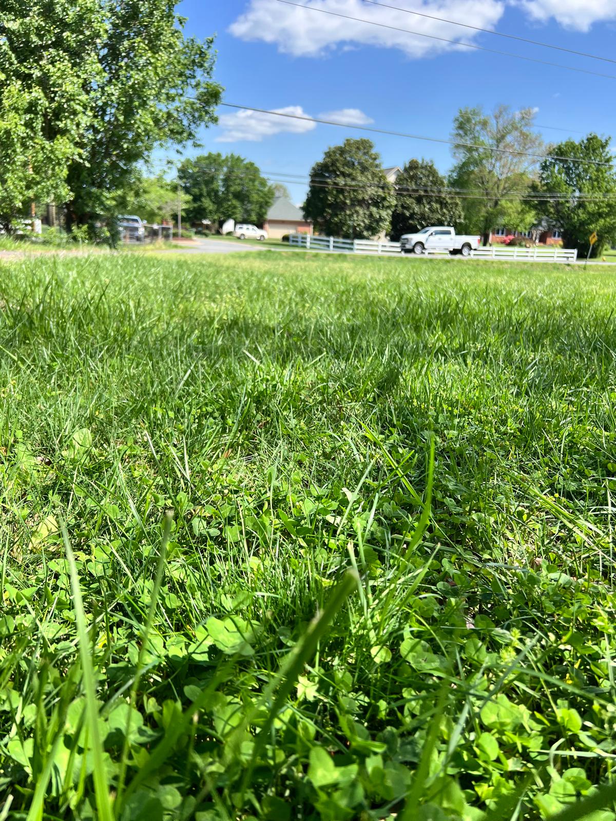 614jt3d97d6vxrxu1a8ozj850baana