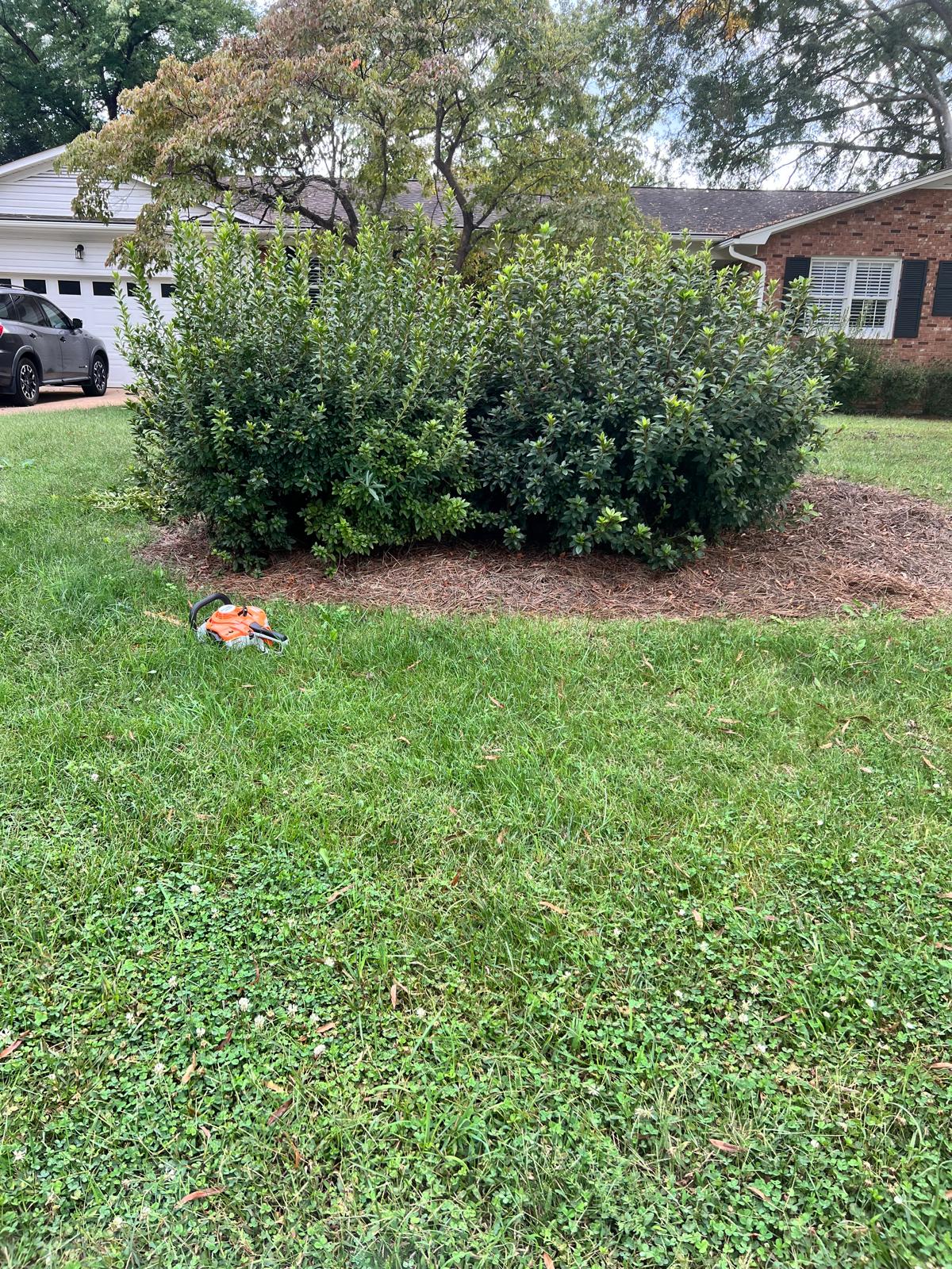 gg4ncpggo9b18r34fctrn6z4m9i0jq