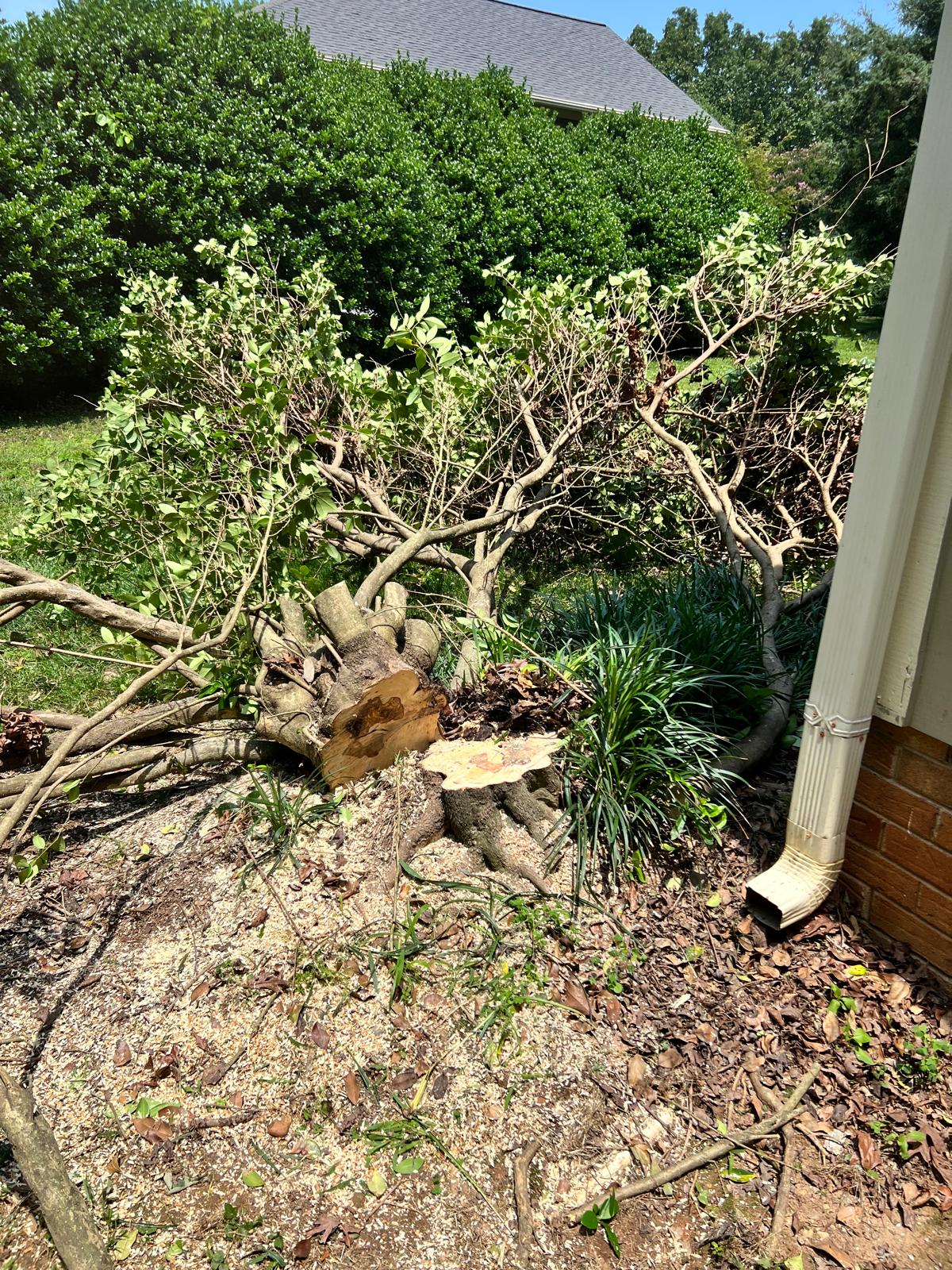 q06147voqaxtul7180nsxni2im7o92