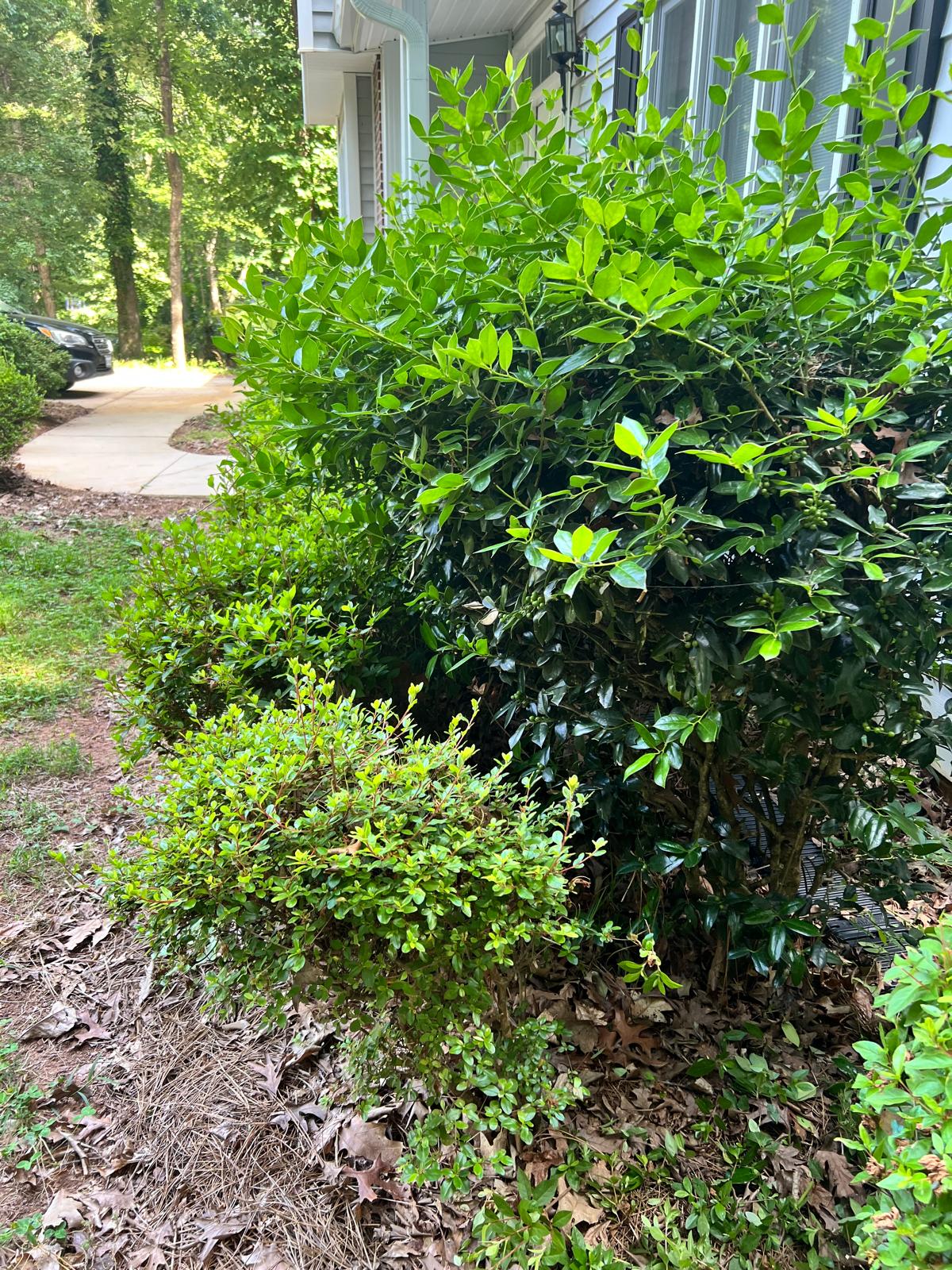 yoii3agf54p4wuuf41qprhj3sig3es