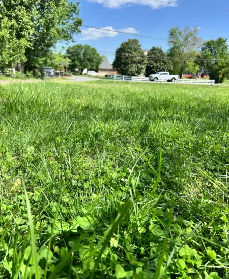 imgi_32_galleryClientesbf8e2135-d677-47d6-8ff7-7ba5fd97bad6fotosClientebefore-7038