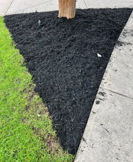 imgi_9_galleryClientesbf8e2135-d677-47d6-8ff7-7ba5fd97bad6fotosCliente0 (3)-9474